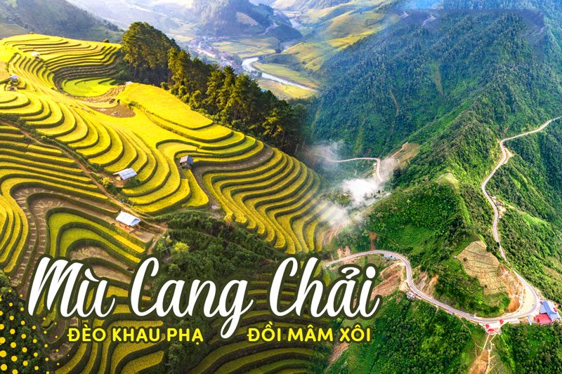 Ruộng bậc thang Mù Cang Chải mùa lúa chín nhìn từ trên cao